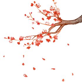 中国风水墨梅