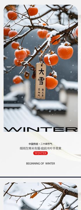 大雪节气海报柿子二十四冬天