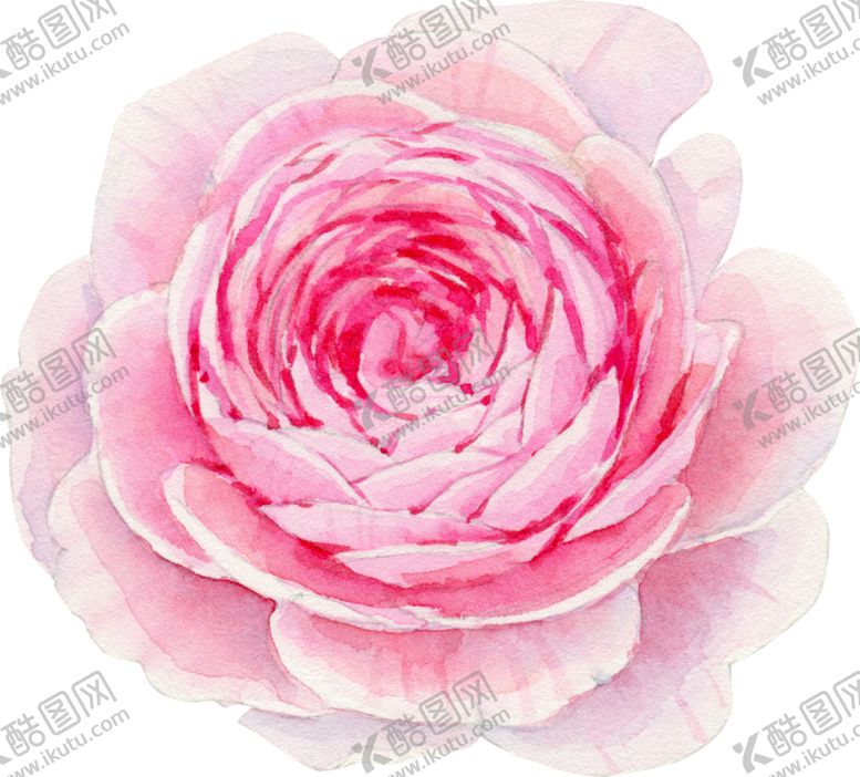 编号：58941610250210511906【酷图网】源文件下载-玫瑰花装饰素材