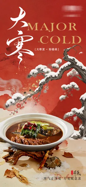 大寒节气海报