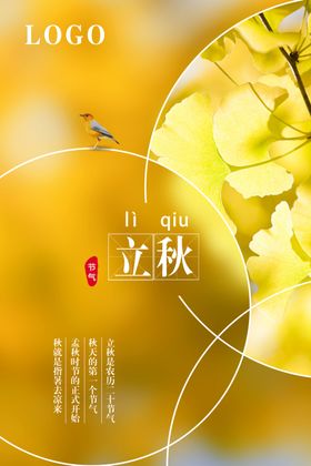 时尚节气海报
