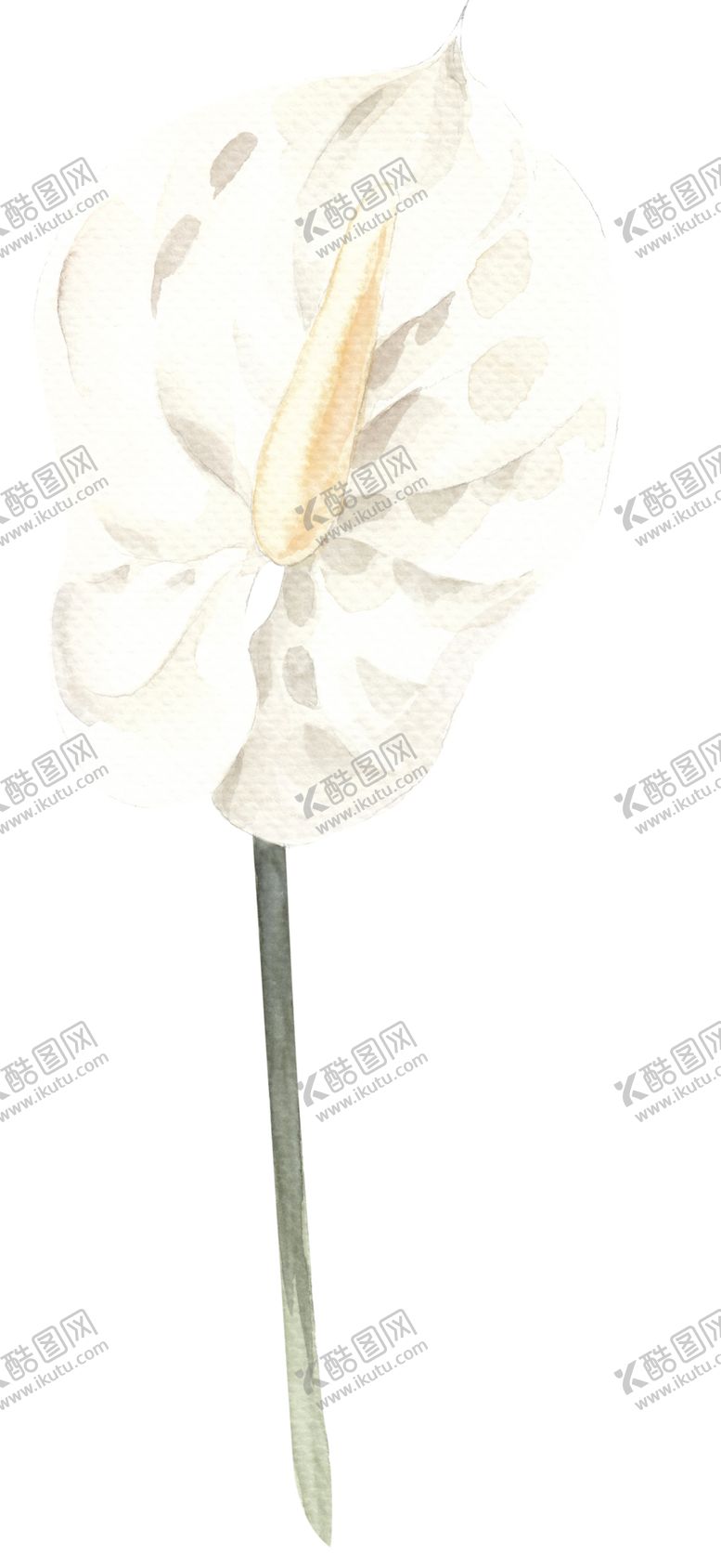 编号：26185407030906418768【酷图网】源文件下载-北欧小清新水彩植物图案