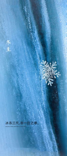 地产冬至节气海报立