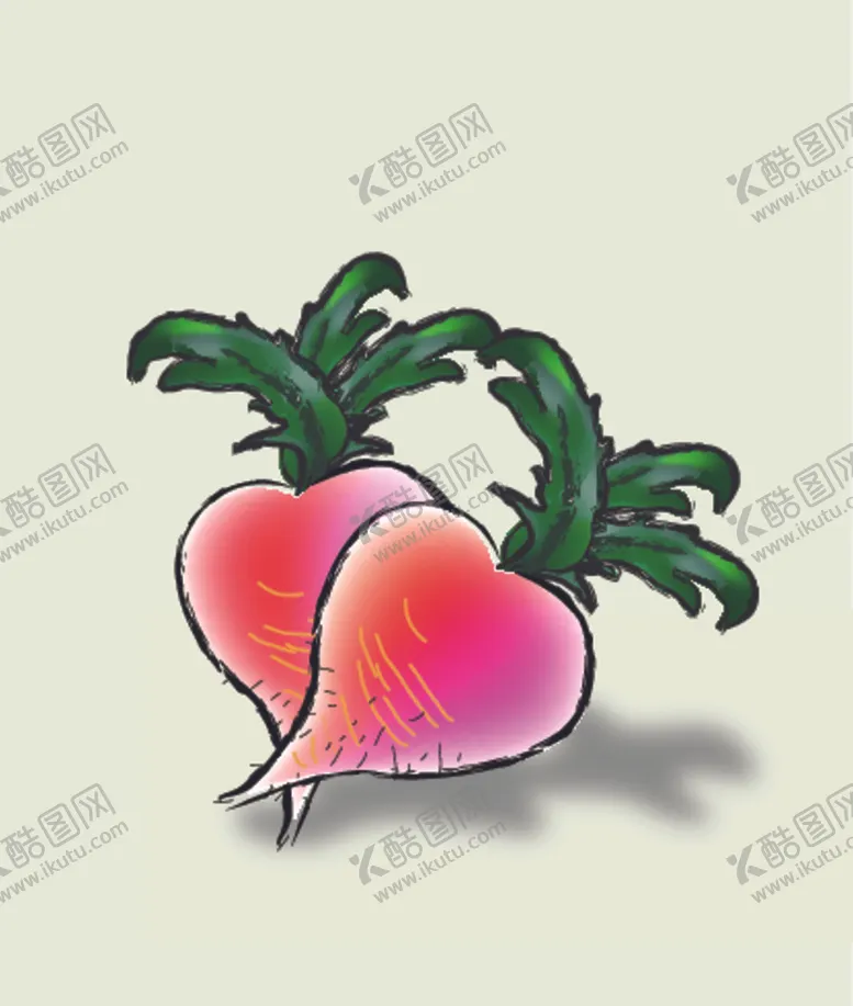 编号：72176801261805502511【酷图网】源文件下载-水彩萝卜矢量