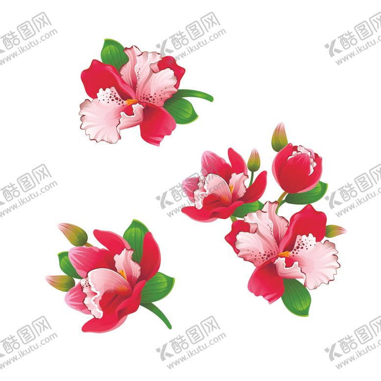 编号：93815509250212568551【酷图网】源文件下载-蝴蝶兰手绘花