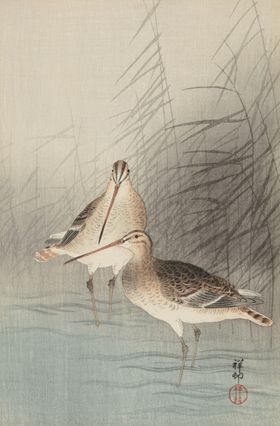 工笔画