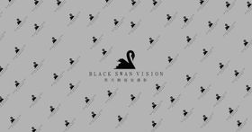 黑天鹅视觉摄影logo