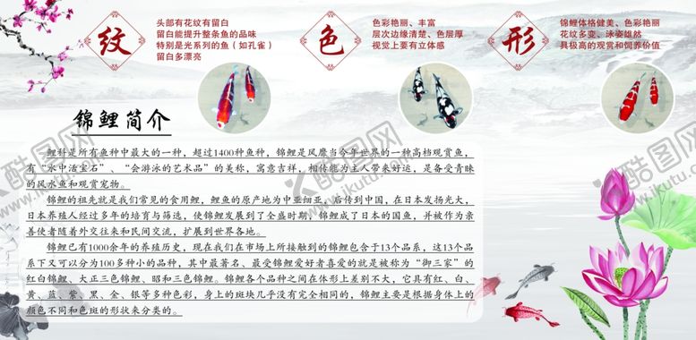 编号：36406507080150347296【酷图网】源文件下载-锦鲤简介