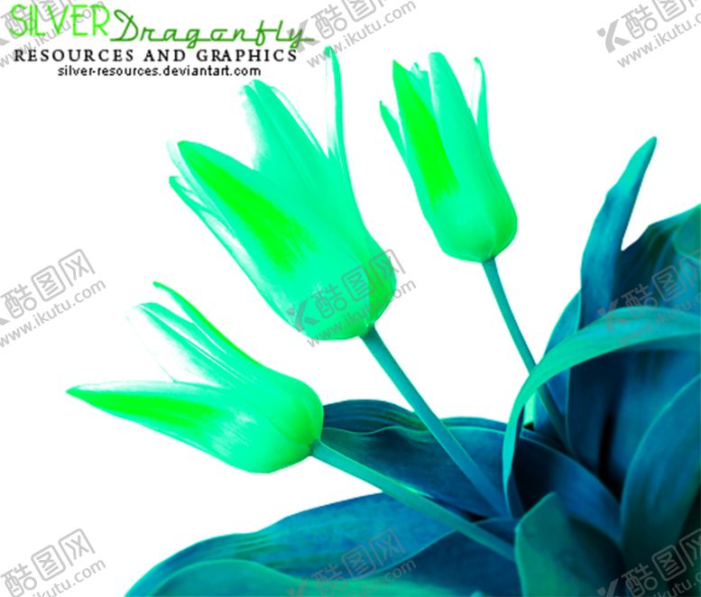 编号：33959811012201283318【酷图网】源文件下载-花素材