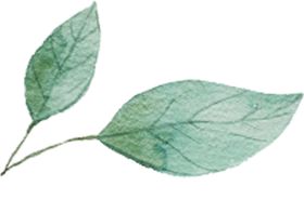 绿色水彩叶子海报素材