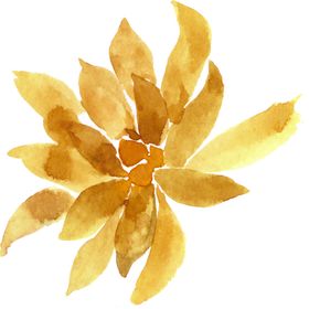 水彩植物