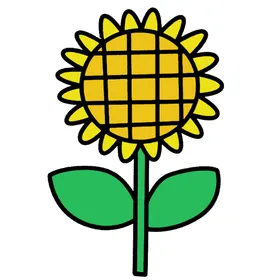 向日葵