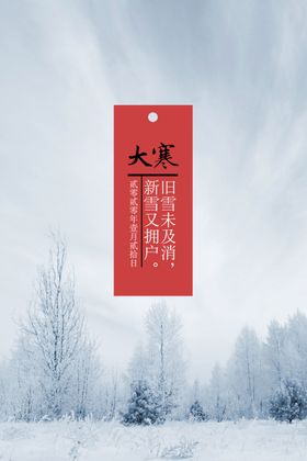 原创节气海报之大寒篇
