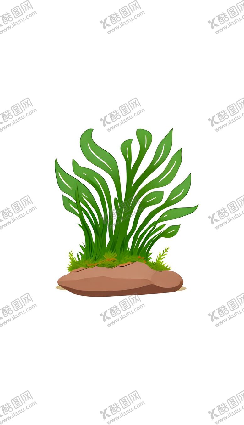 编号：43664012061026259146【酷图网】源文件下载-海草小草水草海带植物