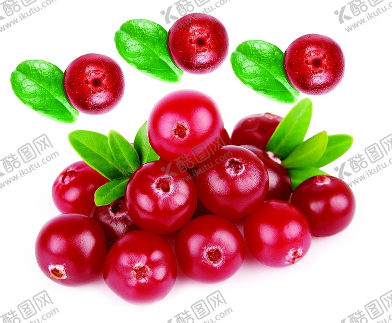 编号：23906910020305056014【酷图网】源文件下载-蔓越莓