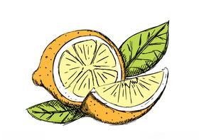 柠檬手绘