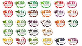 菜园造型园主图片