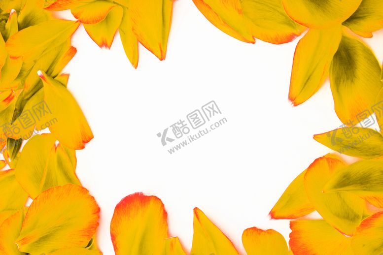 编号：46295610280739461512【酷图网】源文件下载-花素材