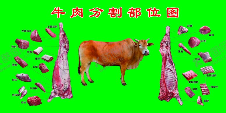 编号：95840609270835243759【酷图网】源文件下载-牛分割