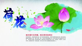 荷花