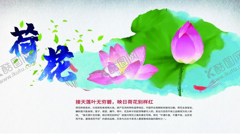 编号：21093505101549474434【酷图网】源文件下载-荷花
