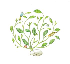 绿色装饰