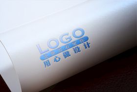 质感正视高端品牌样机LOGO