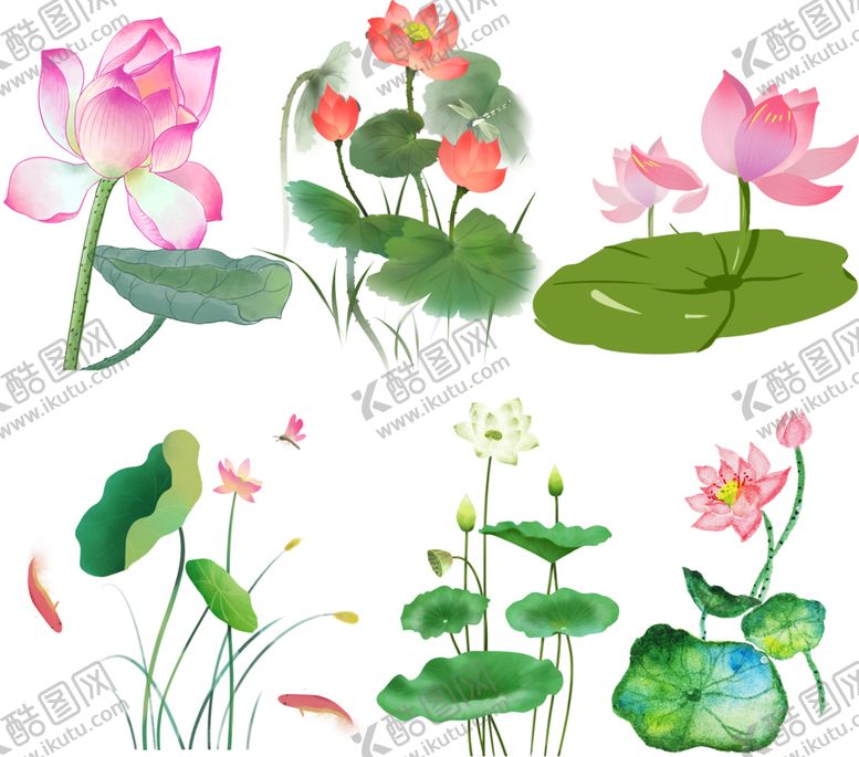编号：61090912210340316710【酷图网】源文件下载-荷花荷叶
