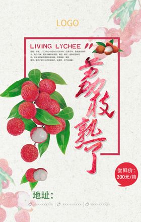 荔枝树广告番干果
