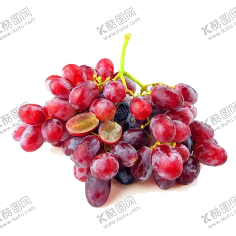 编号：66156404281250207948【酷图网】源文件下载-提子