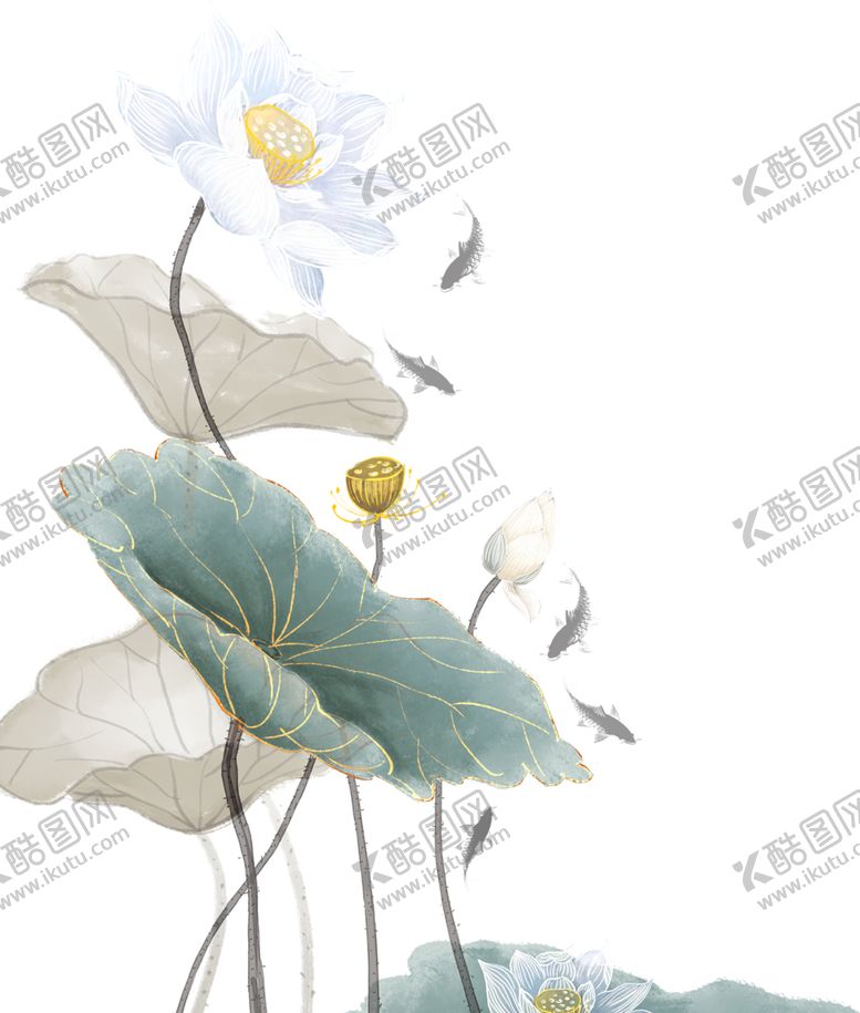 编号：54737012080006189744【酷图网】源文件下载-免扣荷花素材