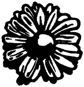 花纹边框