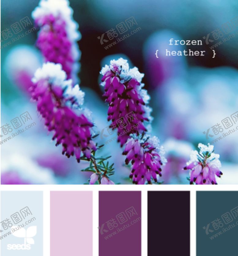 编号：47005310051745027332【酷图网】源文件下载-配色卡