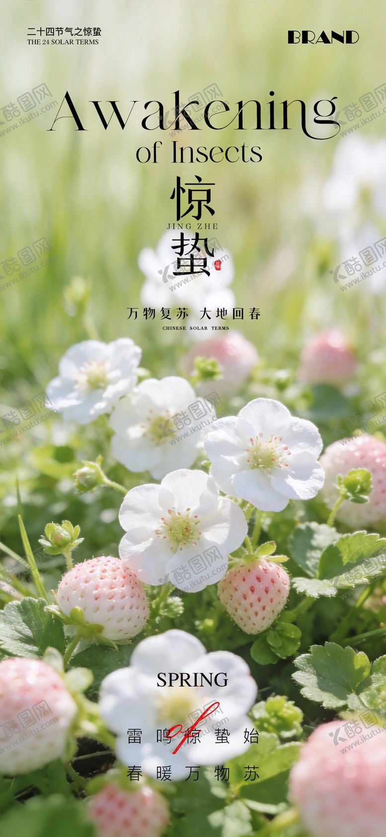 编号：77473903060204507201【酷图网】源文件下载-惊蛰节气海报