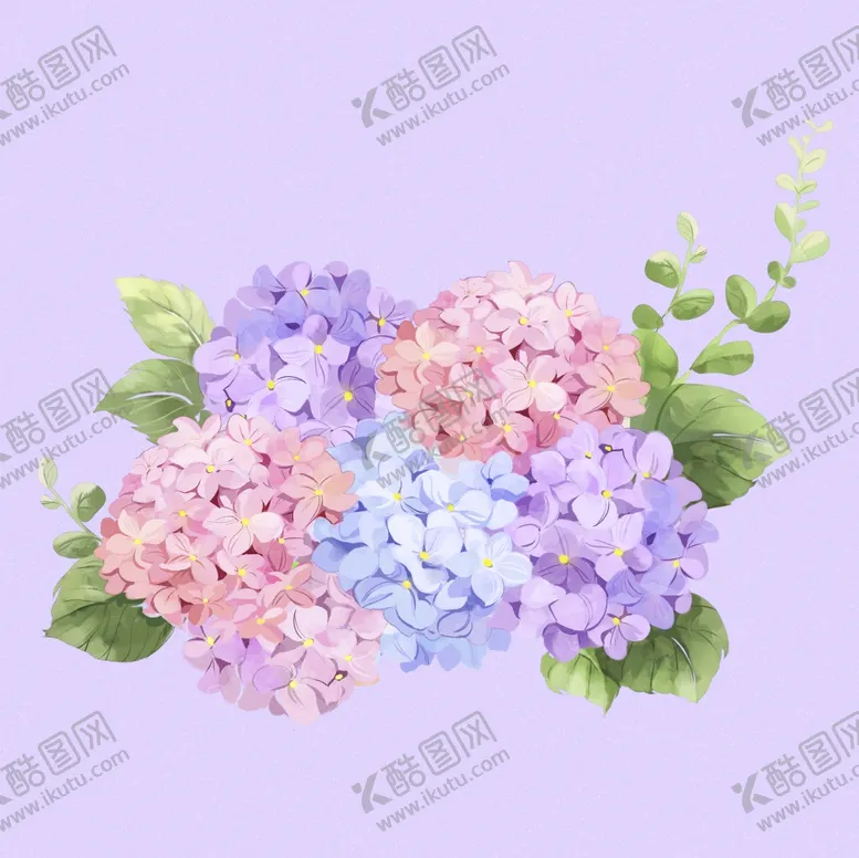 编号：12686206292356316622【酷图网】源文件下载-水彩绣球花插画