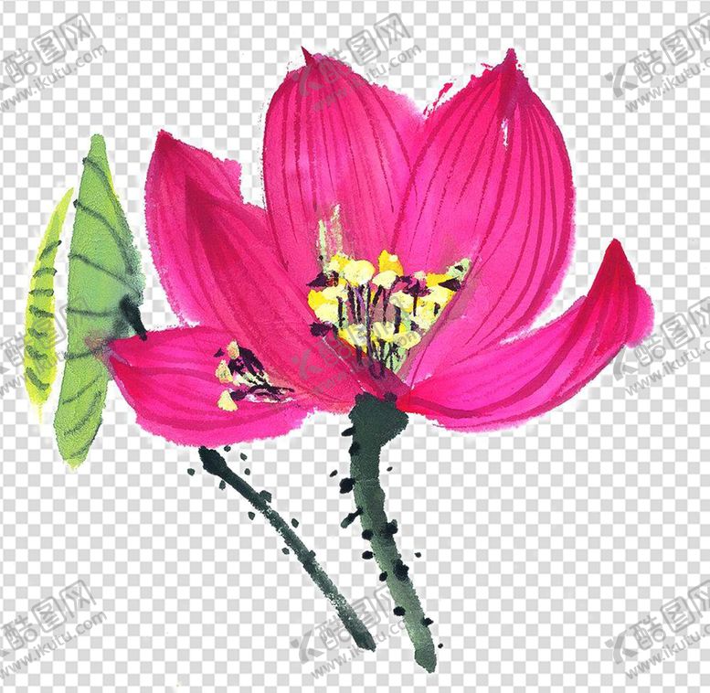 编号：24071910020101321743【酷图网】源文件下载-荷花 莲花 