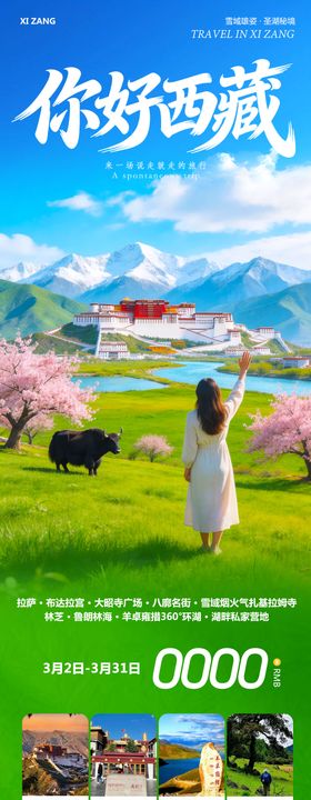 西藏布达拉宫羊卓雍措你好海报