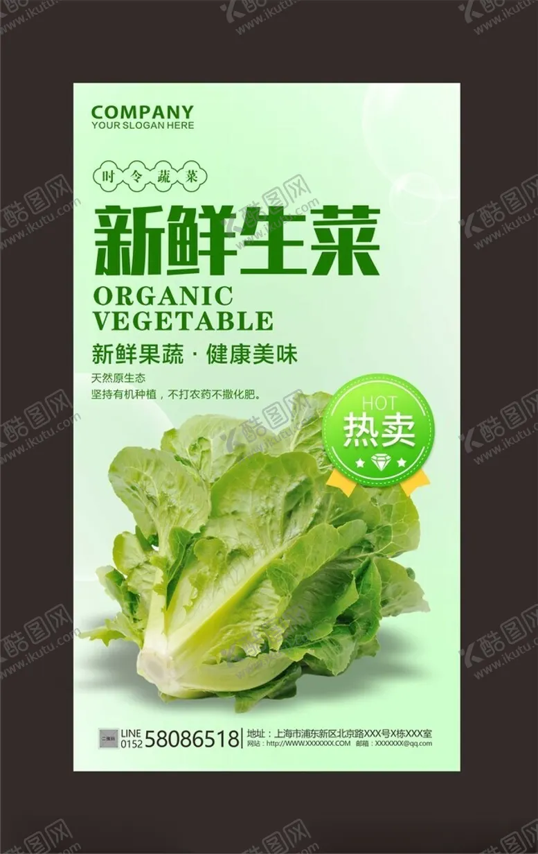 生菜海报蚝油新鲜蔬