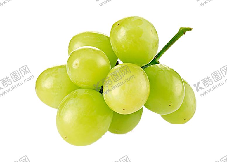 编号：69425610292143441564【酷图网】源文件下载-水果