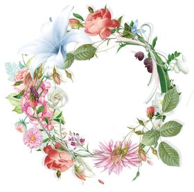 水墨菊花