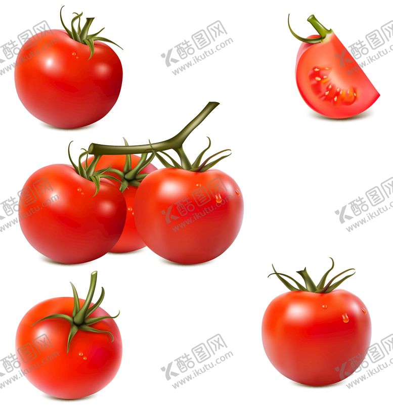 编号：17605310072351514327【酷图网】源文件下载-番茄