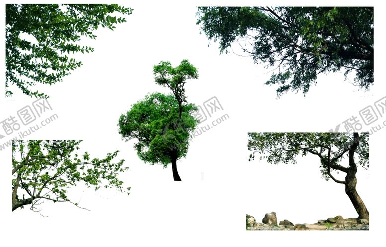 编号：75188510280641076774【酷图网】源文件下载-绿植树枝边花角花