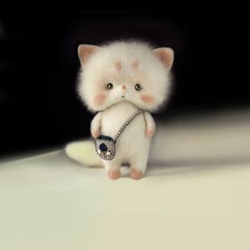 动物