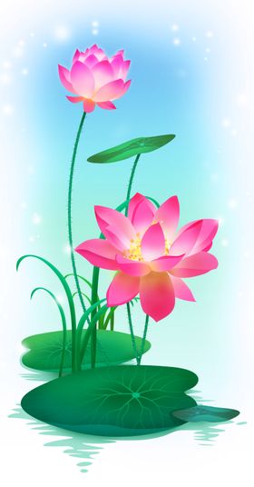 荷花玄关背景墙装饰画