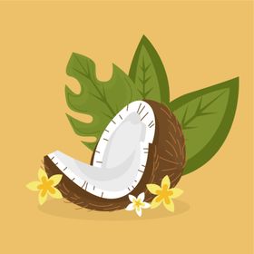 卡通椰子