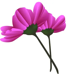 写实花卉