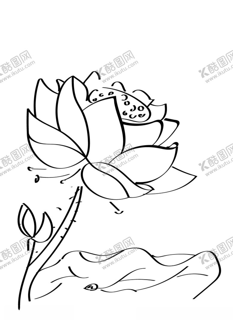 编号：99548010190224111565【酷图网】源文件下载-荷花线稿