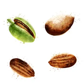 手绘彩色蔬菜免扣素材图片