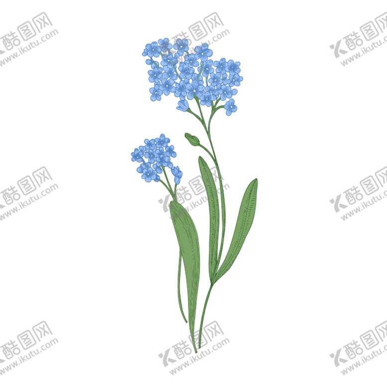 编号：79778610230218117283【酷图网】源文件下载-手绘花卉