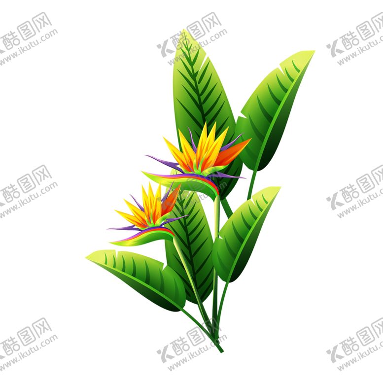 编号：55194007061348282445【酷图网】源文件下载-绿色背景